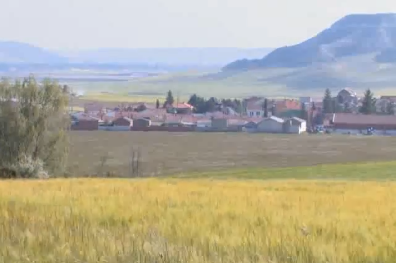 Espigas y entorno agrícola de Villaviudas